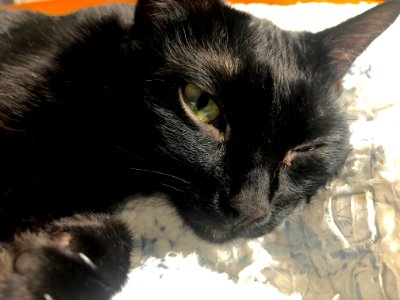 Wary Maggie