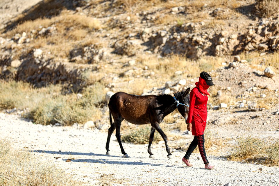Lady in red