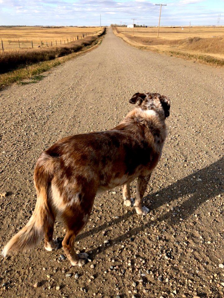 Further On Down the Gravel Road