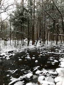 Snowy stream, January 2018--Andrea Walton