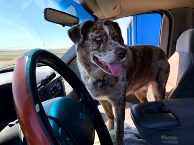 I'm Driving!