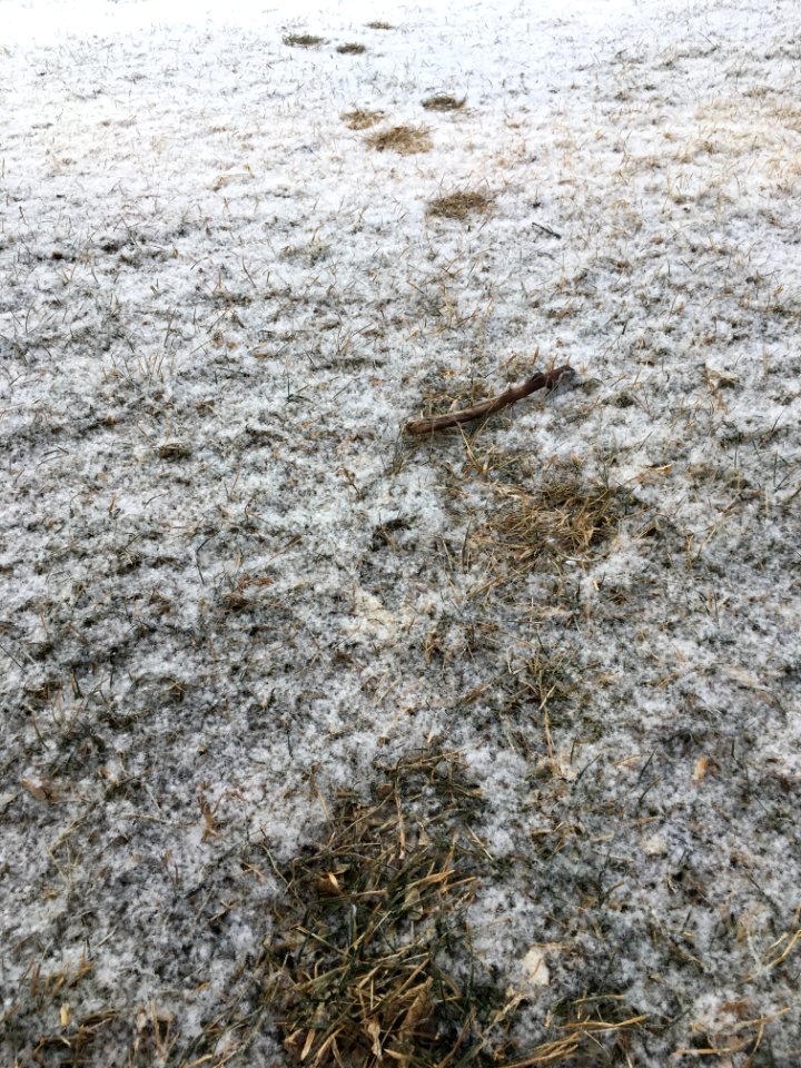 Somebody Was Here