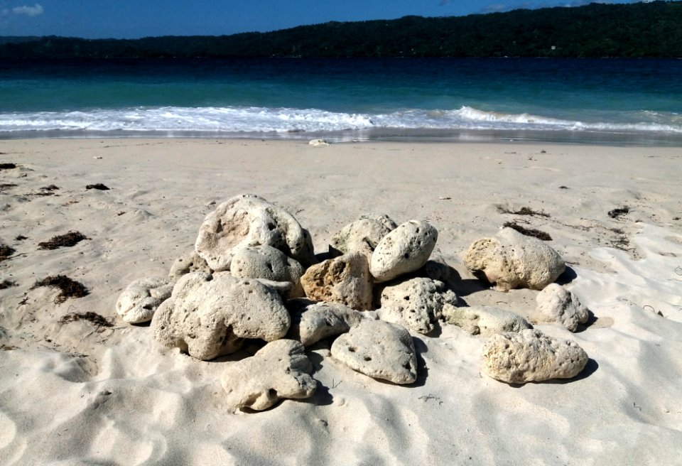 Treasure on Cayo Levantado Cay