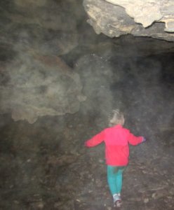 Chamber