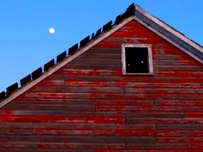 Barn Eyes Moon