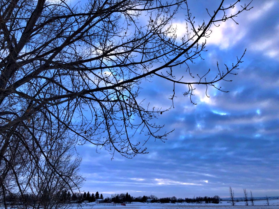 Textury Skies