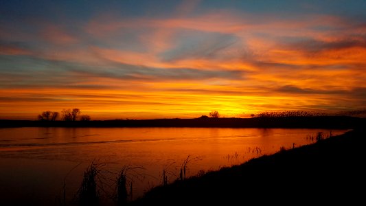 Snow Geese against Sunset photo