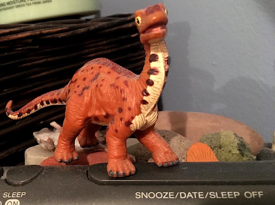 2018/365/12 Stay Away From the Snooze Bar