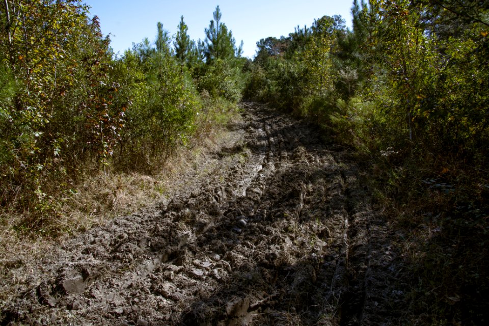 20201119-NRCS-LSC-0248