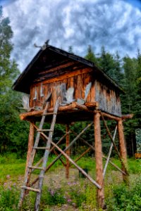 BIG GAME STORAGE CABIN FROM BEARS
