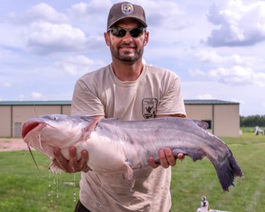 Biologist with a Blue Catfish (Ictalurus furcatus) photo