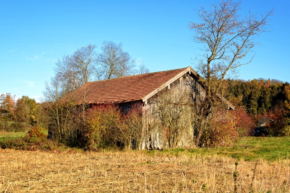 Scale scheuer barn