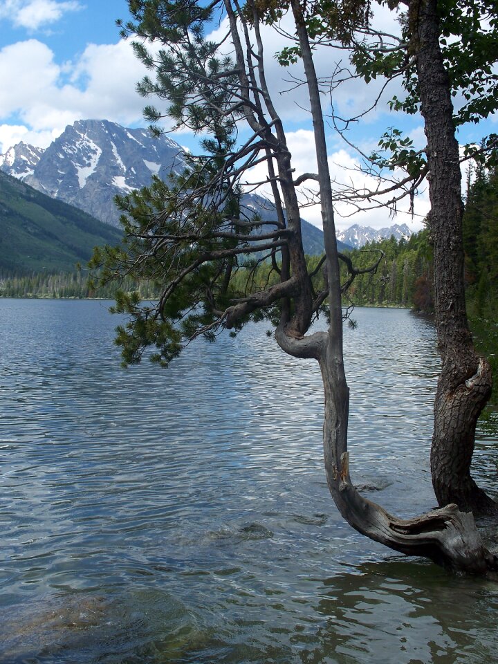 National park mountain lake wyoming