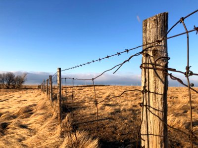 2020/366/82 Follow Fence