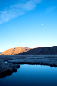 Morning View on the Refuge