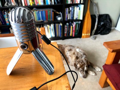 Someone is Sleeping Through the Podcast