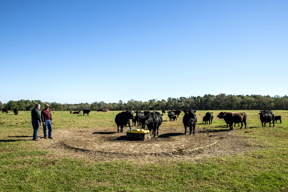 20201117-NRCS-LSC-0470