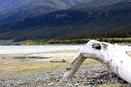ALCAN Highway 9