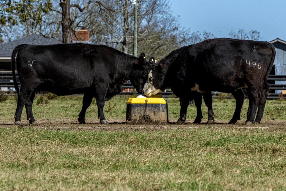 20201117-NRCS-LSC-0549