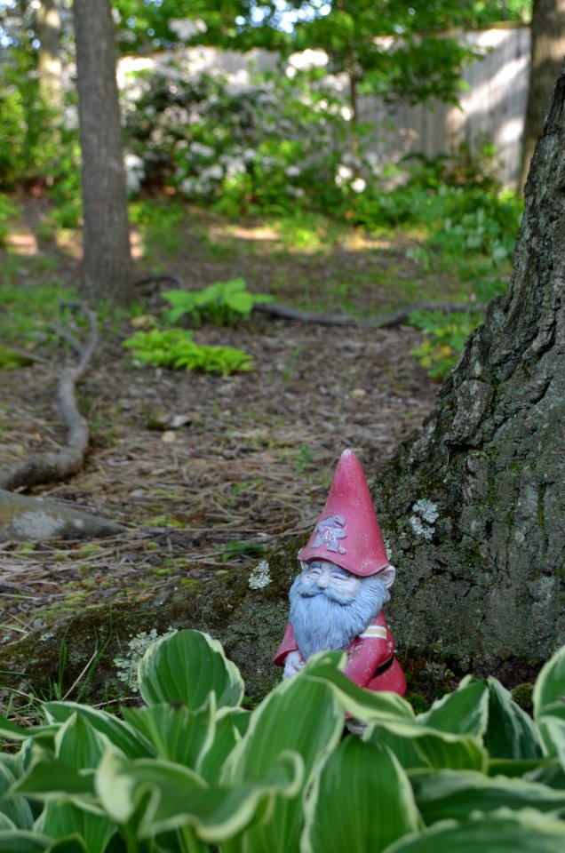 Gnome any Hastas?
