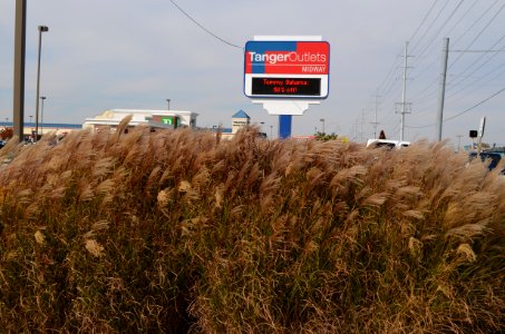 Tanger Outlets, Rehobeth Beach, Delaware photo