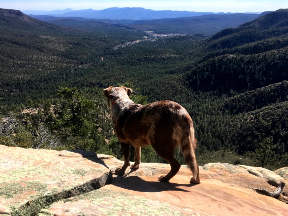 2017/365/71 Felix Ponders The view