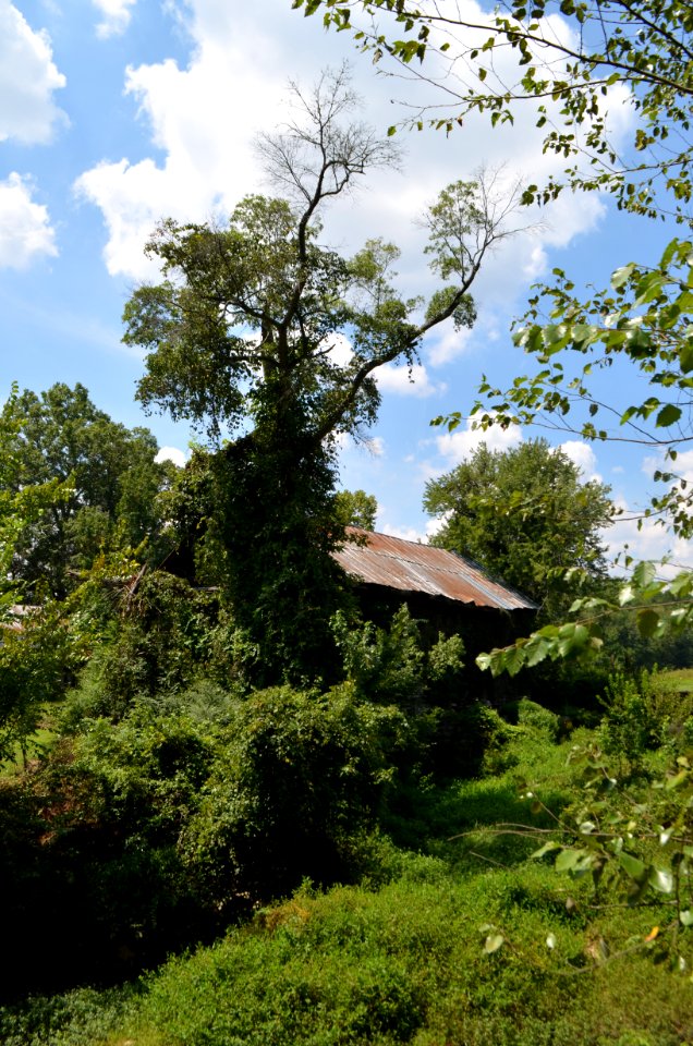 Weldon's Mill, Henderson, North Carolina