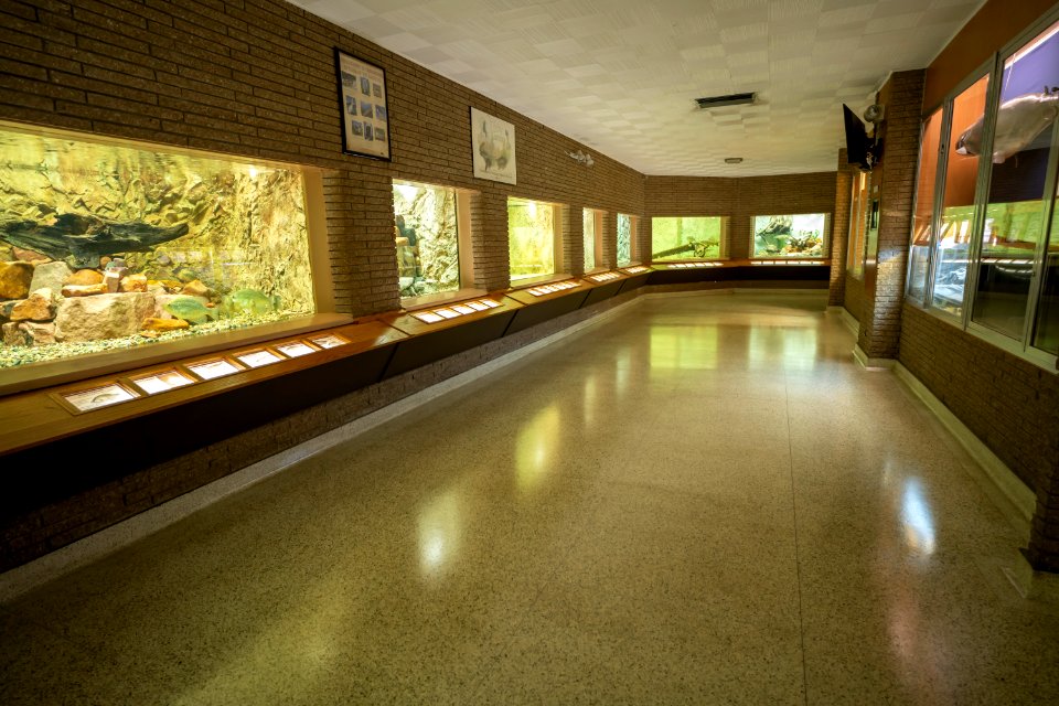 The Aquarium at Gavins Point National Fish Hatchery