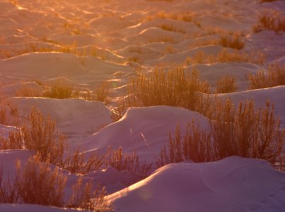 Sage Steppe in winter at Seedskadee National Wildlife Refuge photo