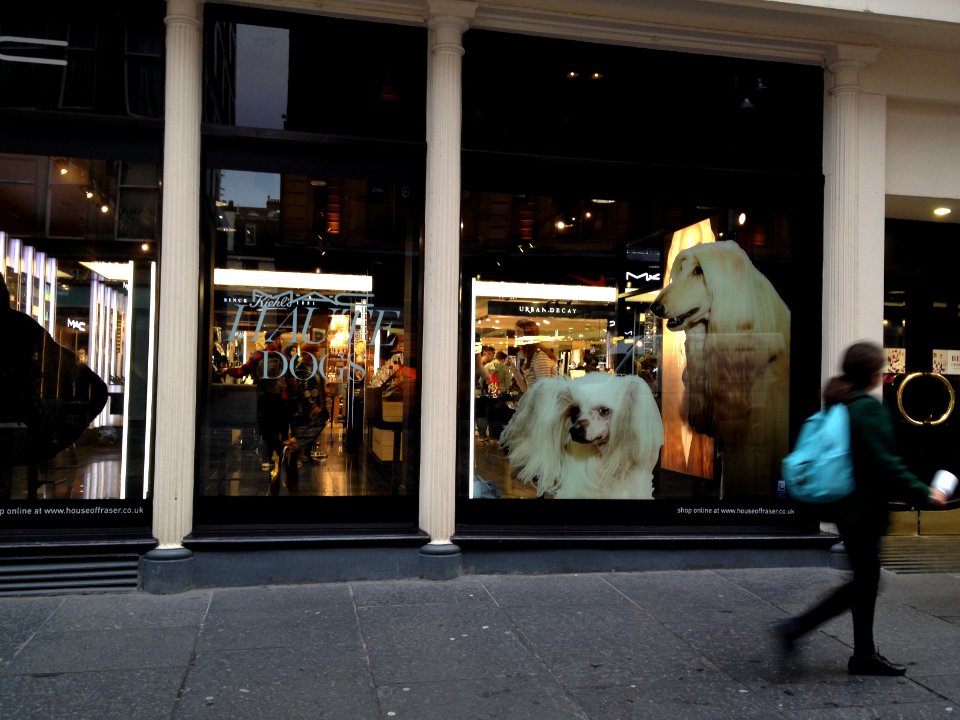 Glasgow - Haute Dogs