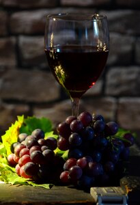 Red grapes red wine backlighting photo