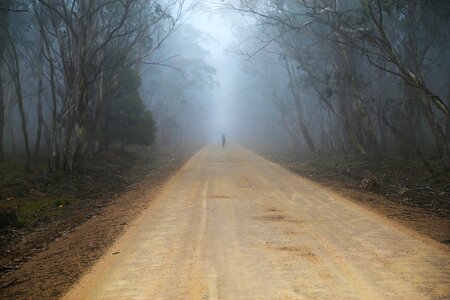 Mist road spooky photo