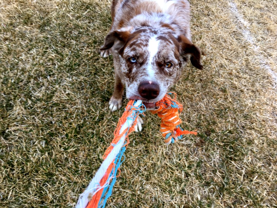 We Tug