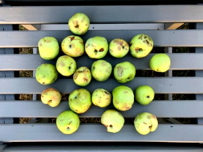 2020/366/220 Top Apples