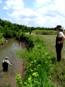 McConnell Creek (before)
