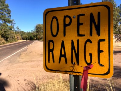 2018/365/42 Range Openly