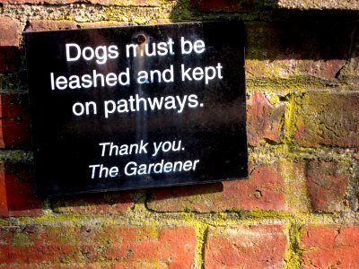 2009/365/133 The Gardner and the Dog