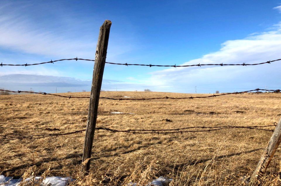 Fence Line Graphs