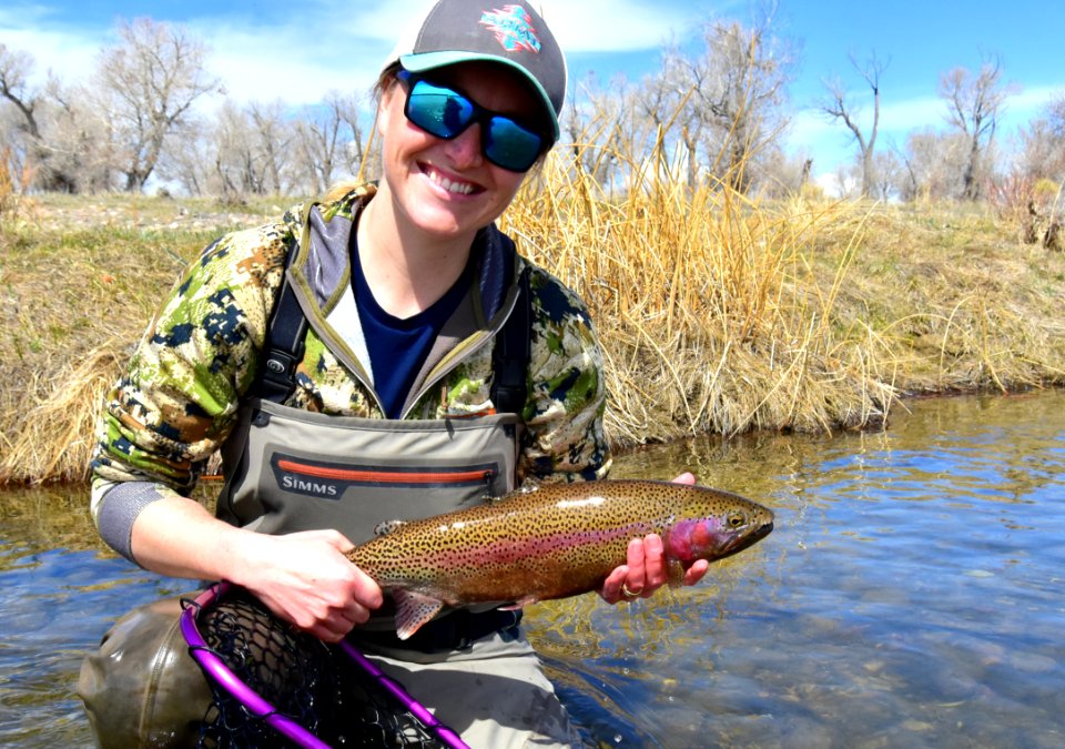 Fly fishing photo