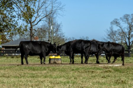 20201117-NRCS-LSC-0541