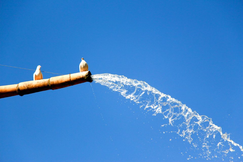 Water