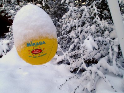 Mikasa Is Lonely for Wilson