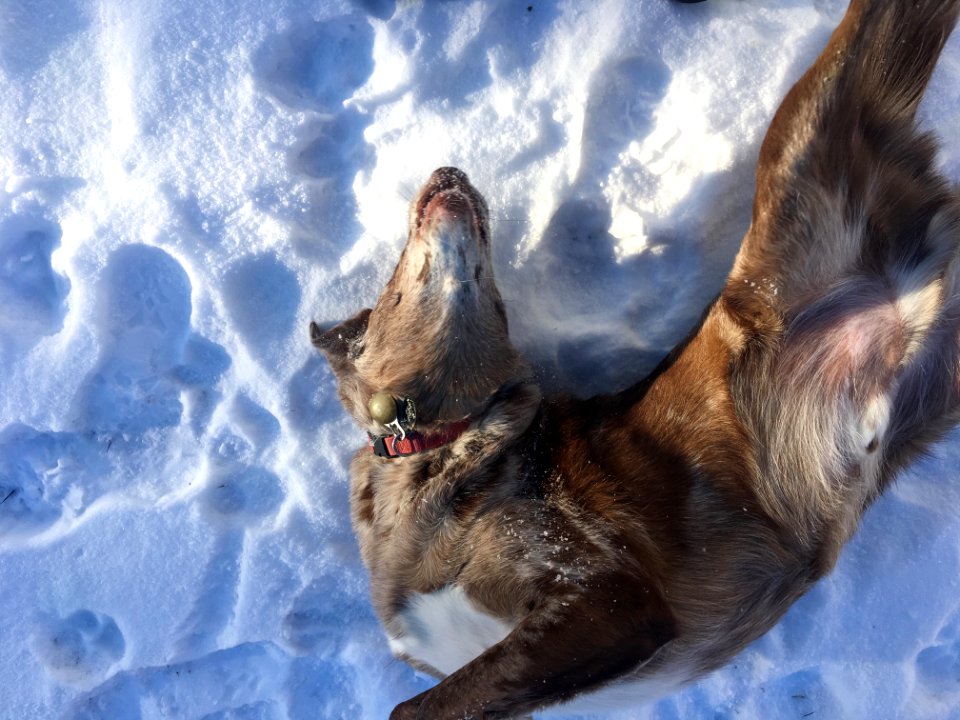 This is How I Do Yoga