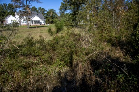 20201119-NRCS-LSC-0206