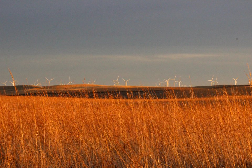 Gruneich Prairie in Fall