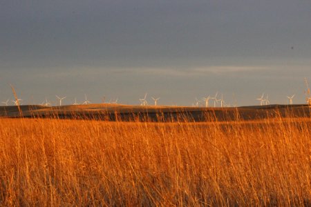 Gruneich Prairie in Fall photo