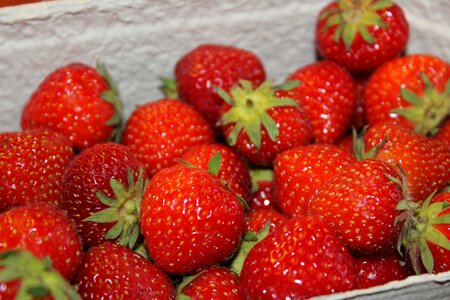 Strawberry healthy green
