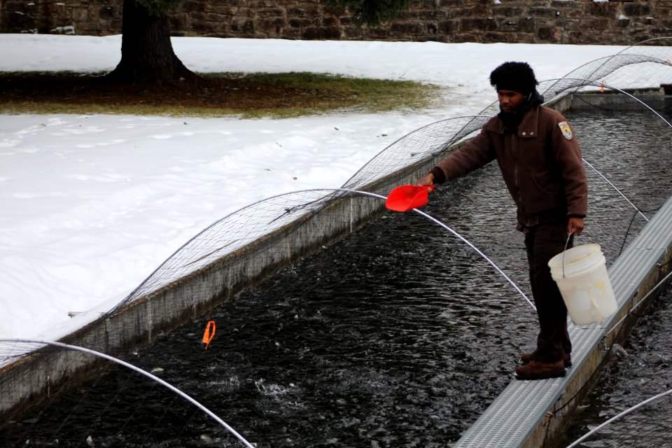Feeding Fish at D.C. Booth