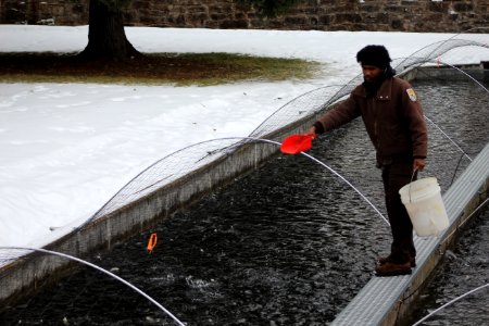 Feeding Fish at D.C. Booth