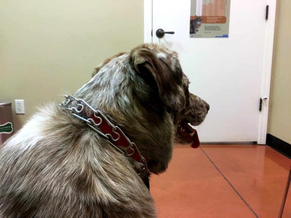 "I'm Not Crazy About this Dr Office Thing"